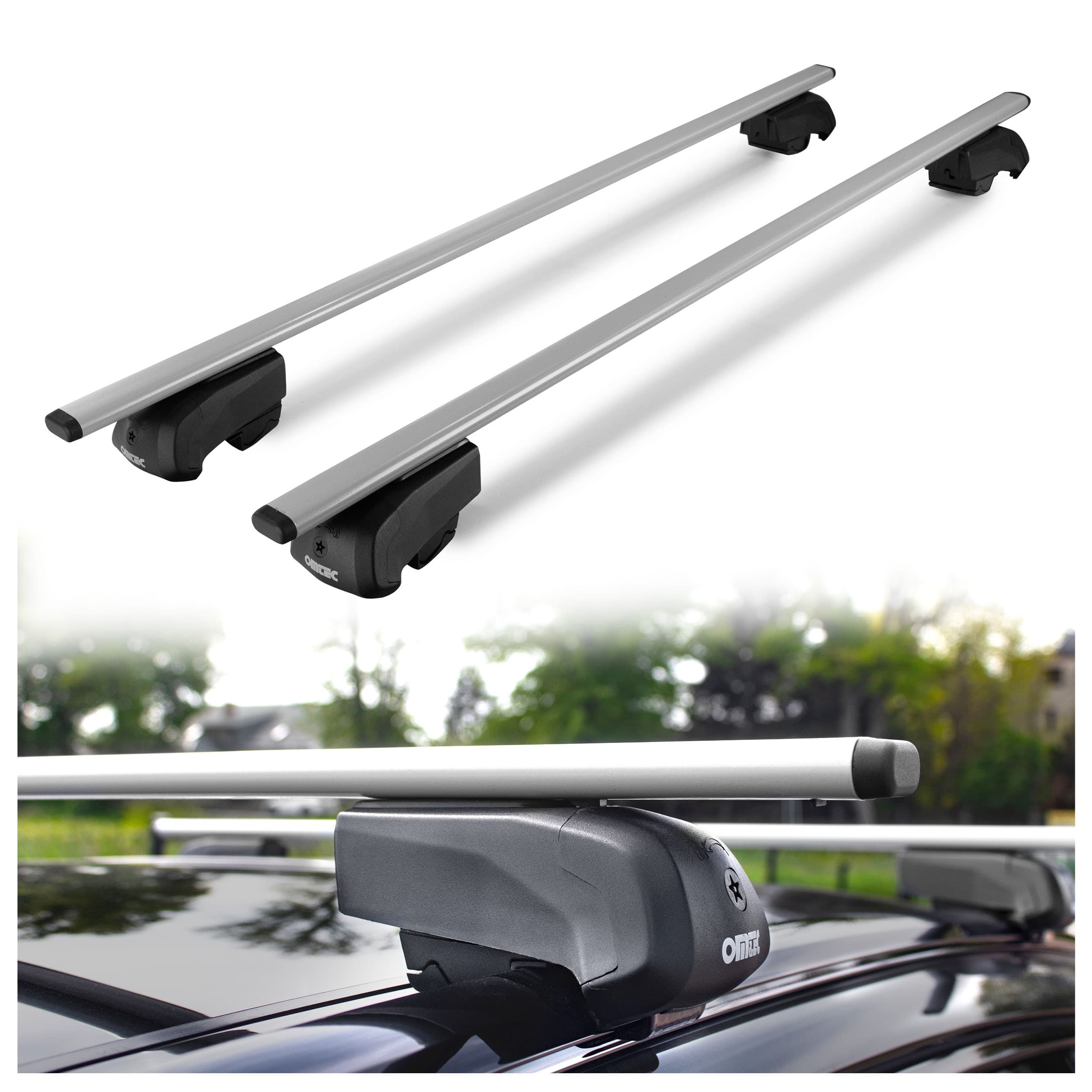 Dachgepäckträger Solidbar Beta V2 Lite — Silber, Stahl, Lackiert